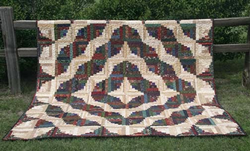 Quilting With Thistle Thicket Studio That Scrappy Curvy Log Cabin Quilt Is Done,Turtle Shell Rot