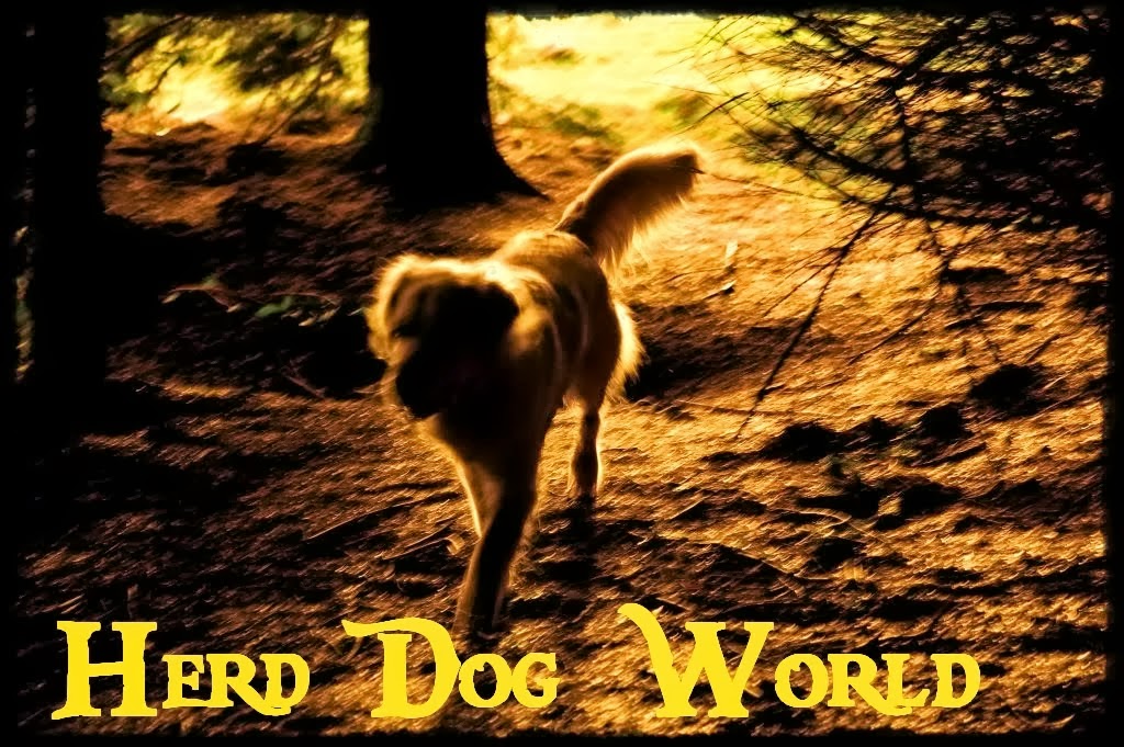 ..::Herd Dog World::..