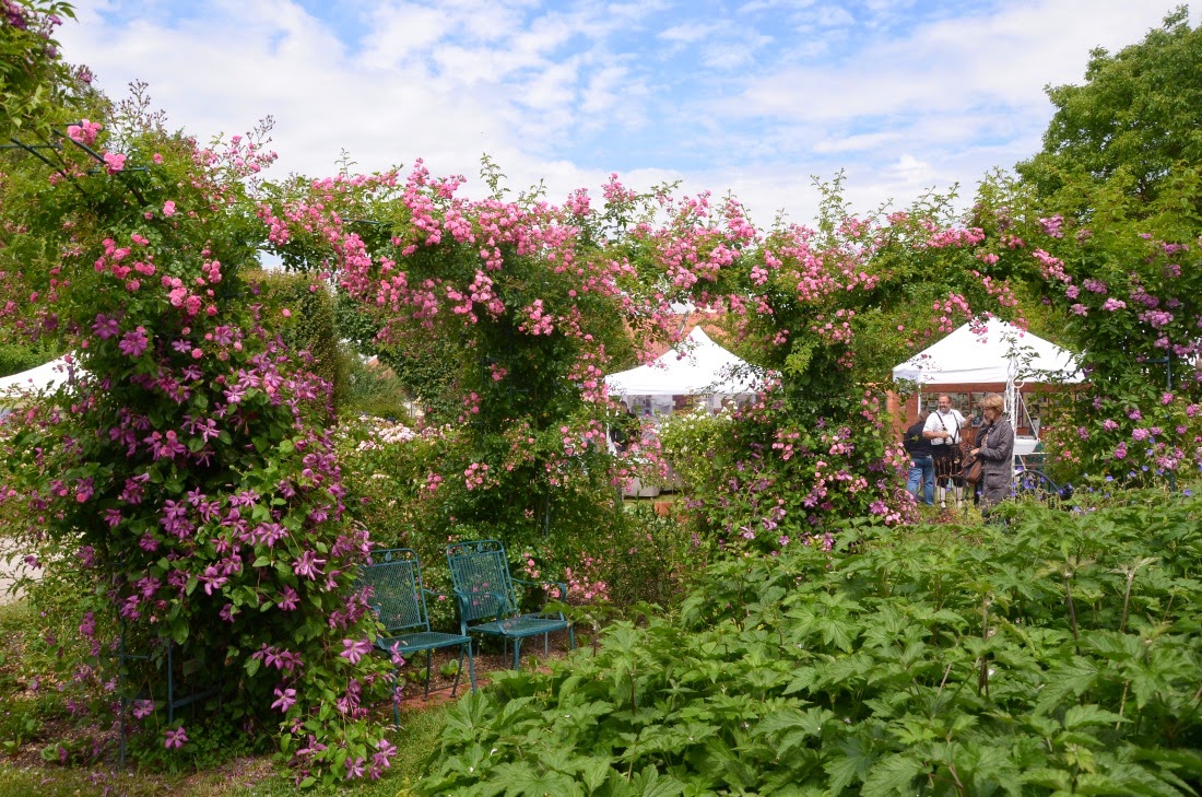 Https Www Wochenspiegel Sonntag De Pdf 170514 Pdf