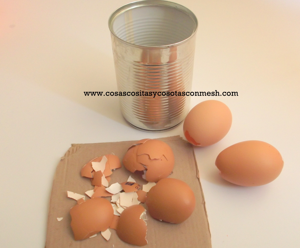 Decoración con cascaras de huevo ~ cositasconmesh