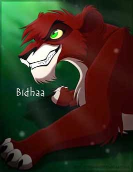 Bidhaa