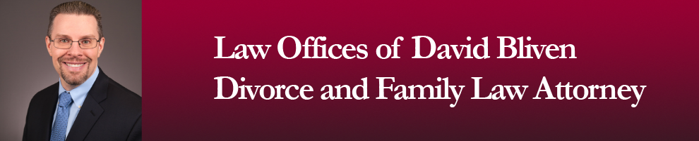 Bronx Child Custody Attorney (www.blivenlaw.net)