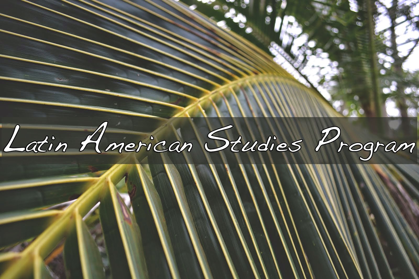 Latin American Studies Program