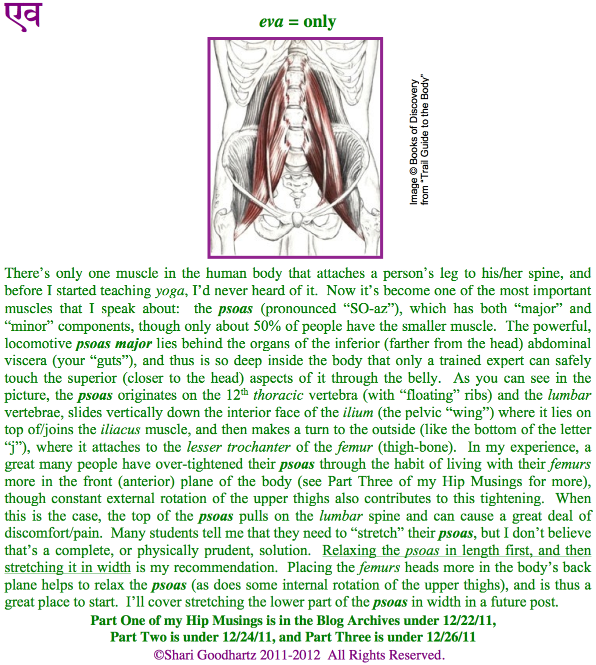 Musings on Hip Alignment 4th of a MultiPart Series shrishari blog