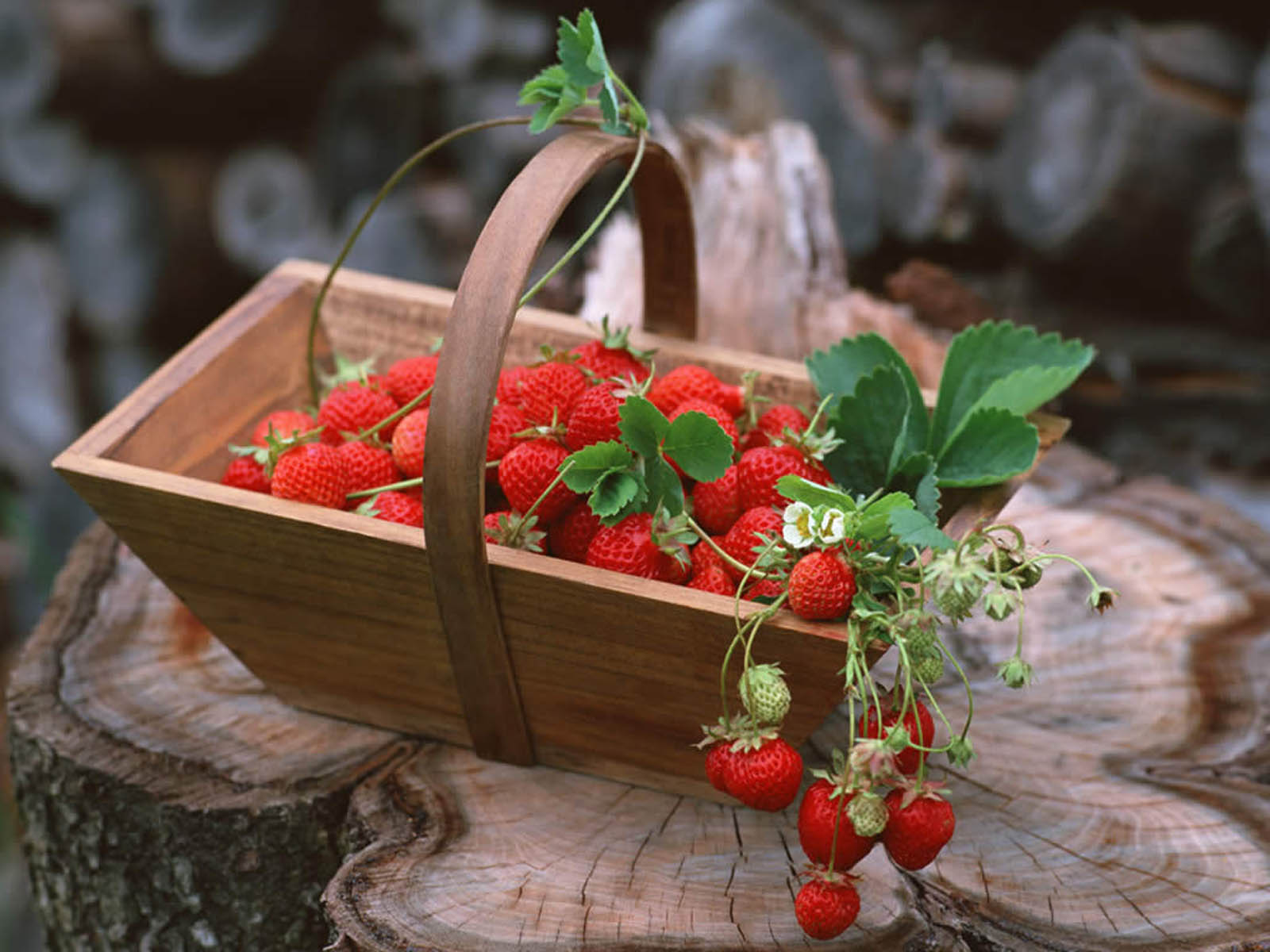 wallpapers: Strawberry Wallpapers