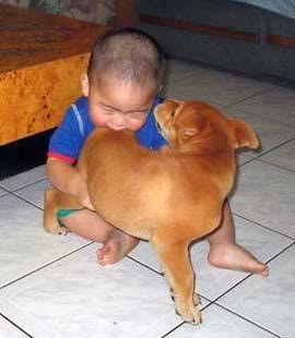  Foto bayi lucu indonesia menggigit seekor anjing