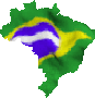 100%  Brasil