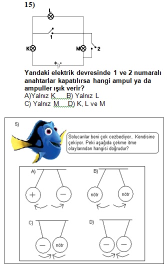 7. Sinif Fen ve Teknoloji 2. Dönem 1. Yazılı Sınav Soruları 2012 2013