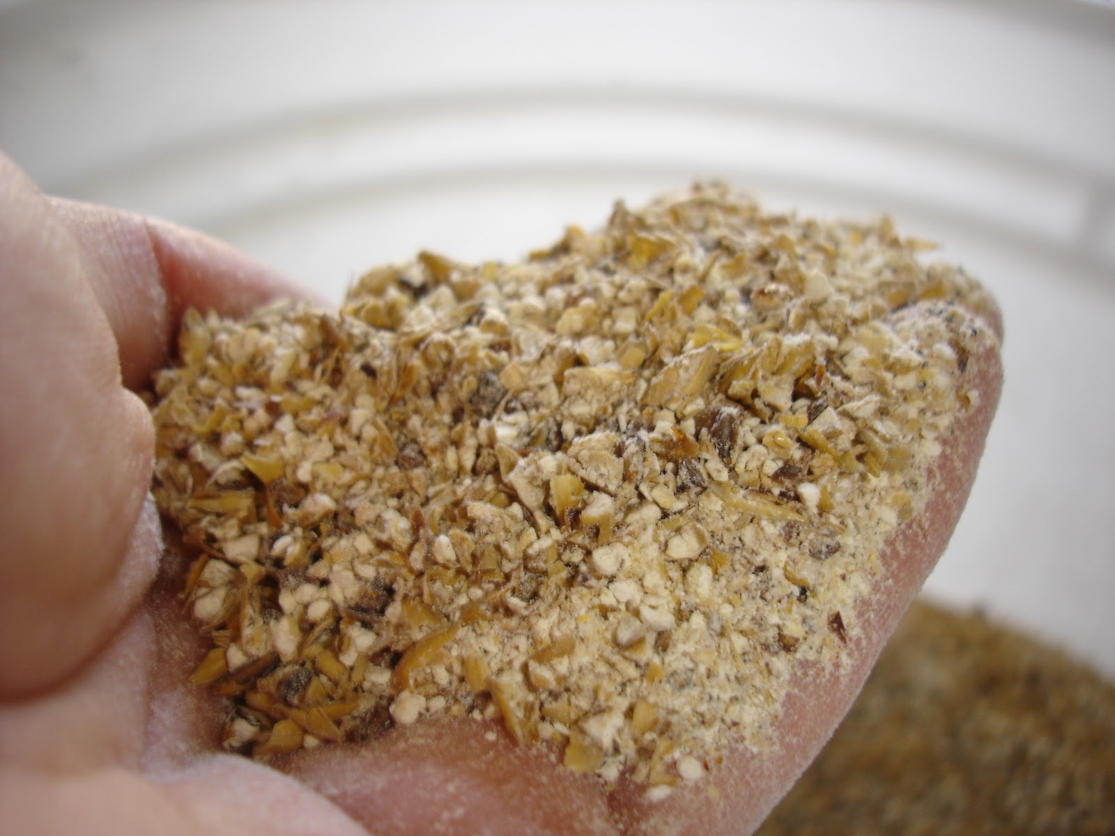 Shegogue Brew English Mild (11a) Brewday