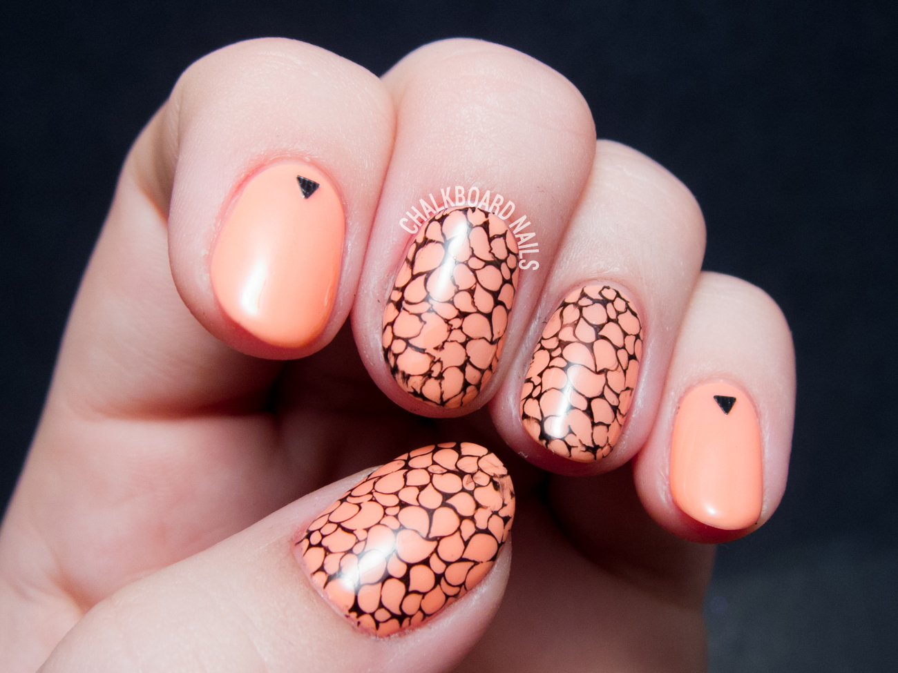 5. Nail Stamping Design Templates - wide 2
