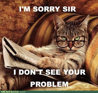 memes-smart-*kitten*-cat-i-dont-see-your-problem.jpg