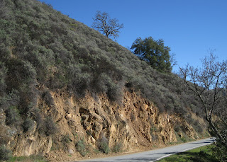Hillside along Calaveras Road, Santa Clara County, California