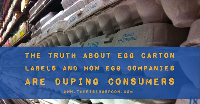 egg-carton-photograph-at-store-flickr-Photoshop-VERSION-1-EDITED-FOR-FACEBOOK-(800-x-419).jpg