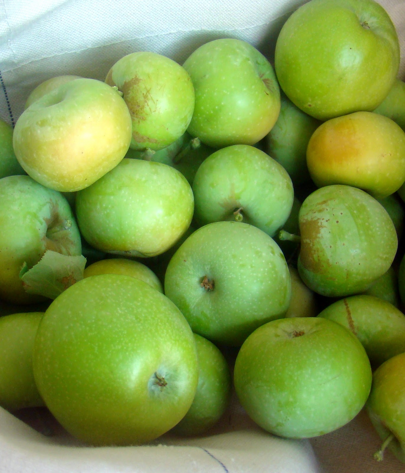 Nourished and Nurtured Planting Fruit Trees