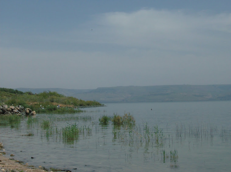 Sea Of Galillee from Capernum