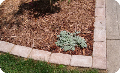 Where Beauty Meets Function: May 2011