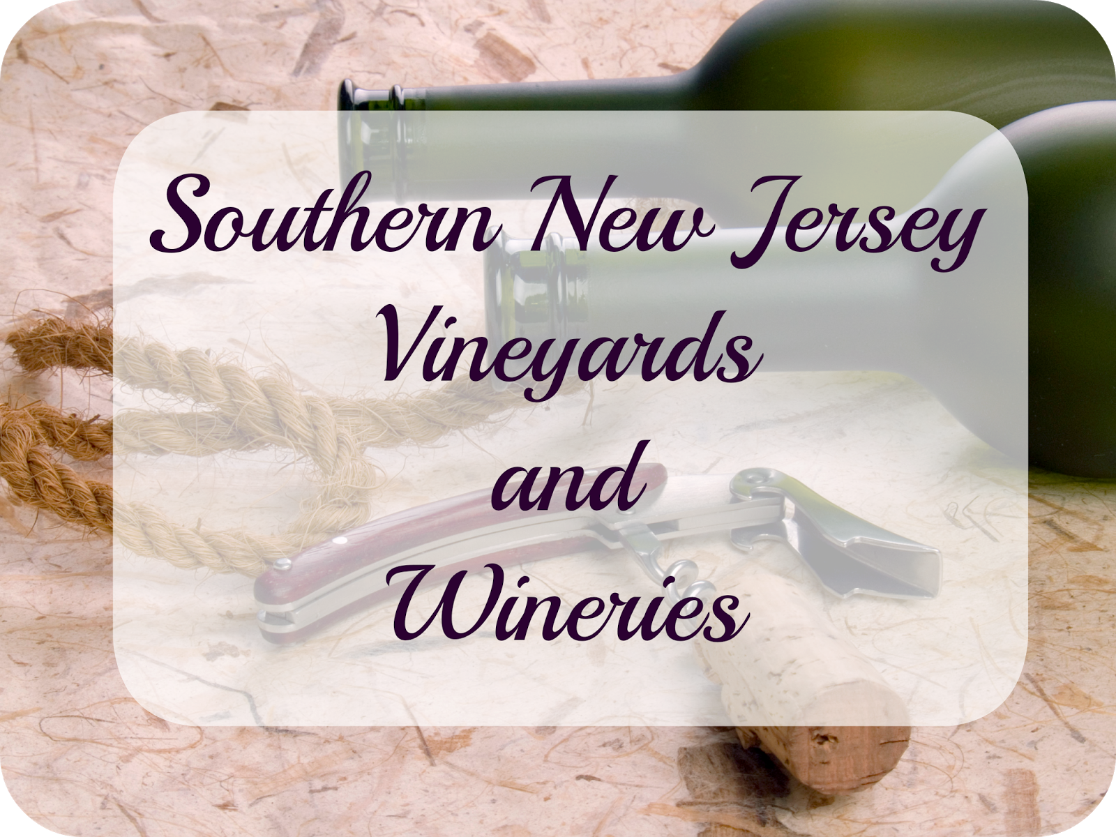 Adventures with Jude Vineyards A Field Trip for Adults!