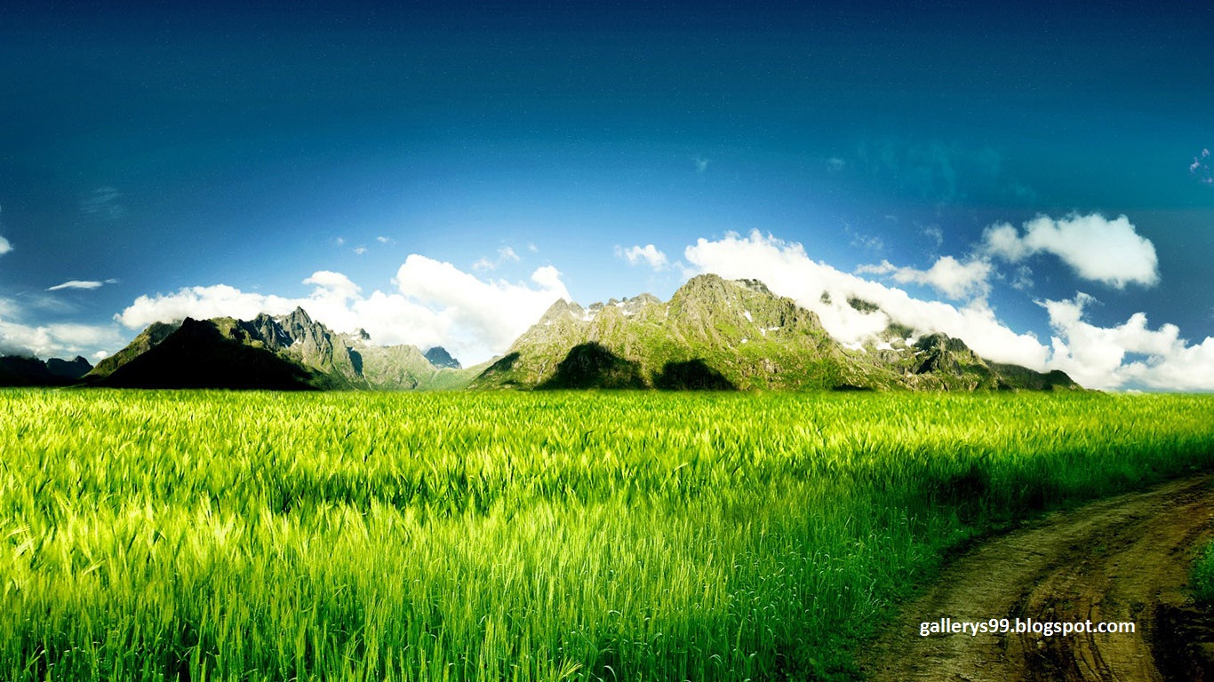 http://1.bp.blogspot.com/-P-m8sgui8kw/T6gdWHs9xcI/AAAAAAAAAqU/g3S4KQ0Vm8k/s1600/gallerys99+%252851%2529.jpg