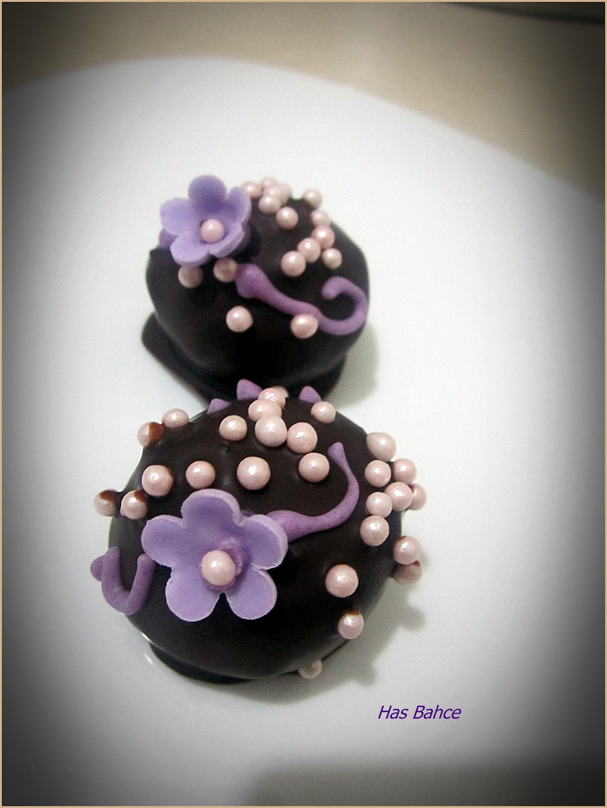 Atölye Sem February 2012