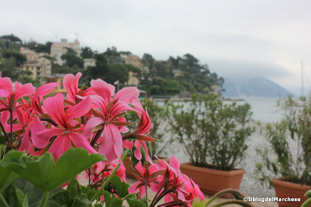 John Walker & Sons Voyager a Portofino