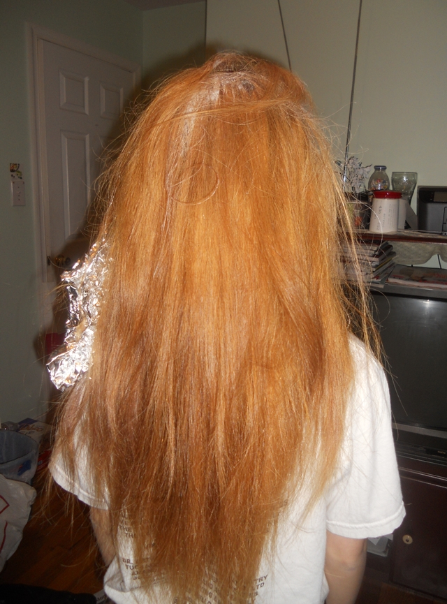 uhhsandy Hair Update How I bleached my hair