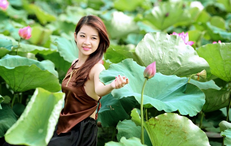 The lotus and Vietnam girl Lotus and Vietnam girl