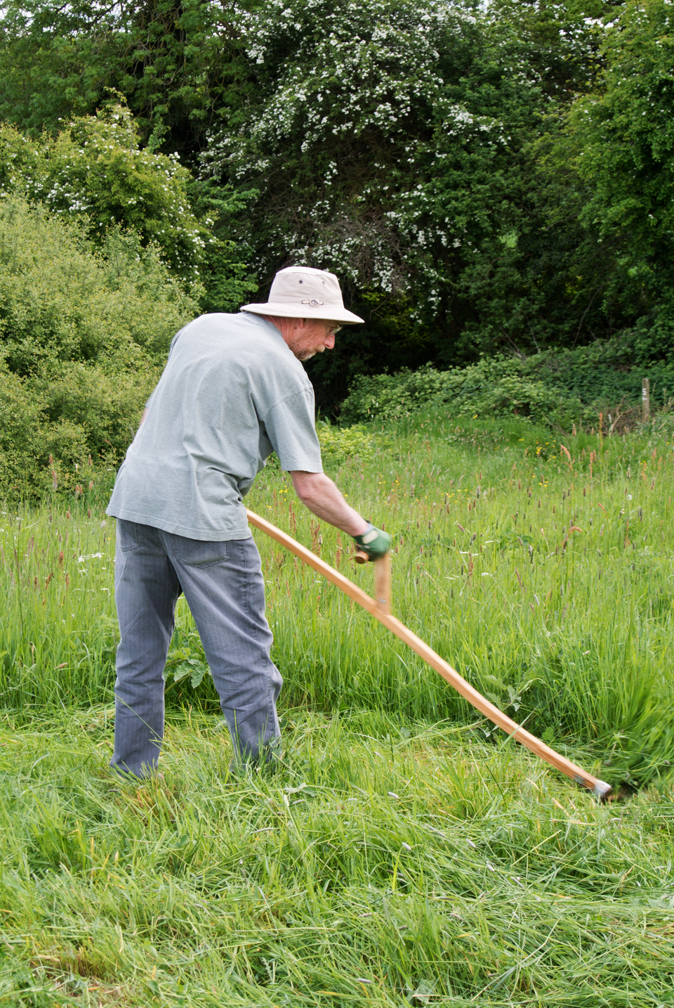 Filnore Woods Blog: Scything Sunday