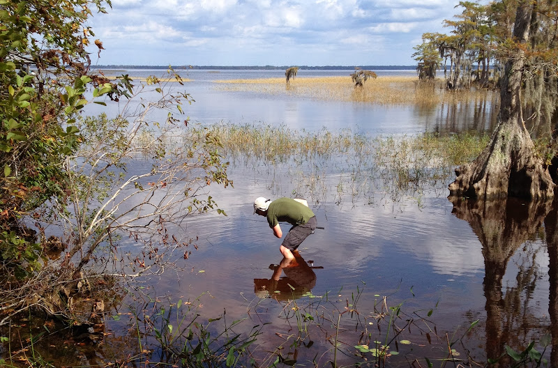 Ben Cantrell's fish species blog VA / NC trip part 5 Lake Waccamaw