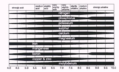 Hidroponik, pH Level, Nutrient, Hydroponics