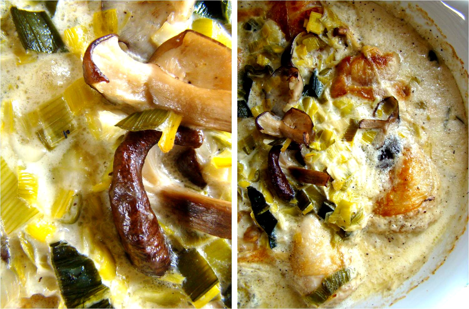 Creamy shiitake and leek chicken