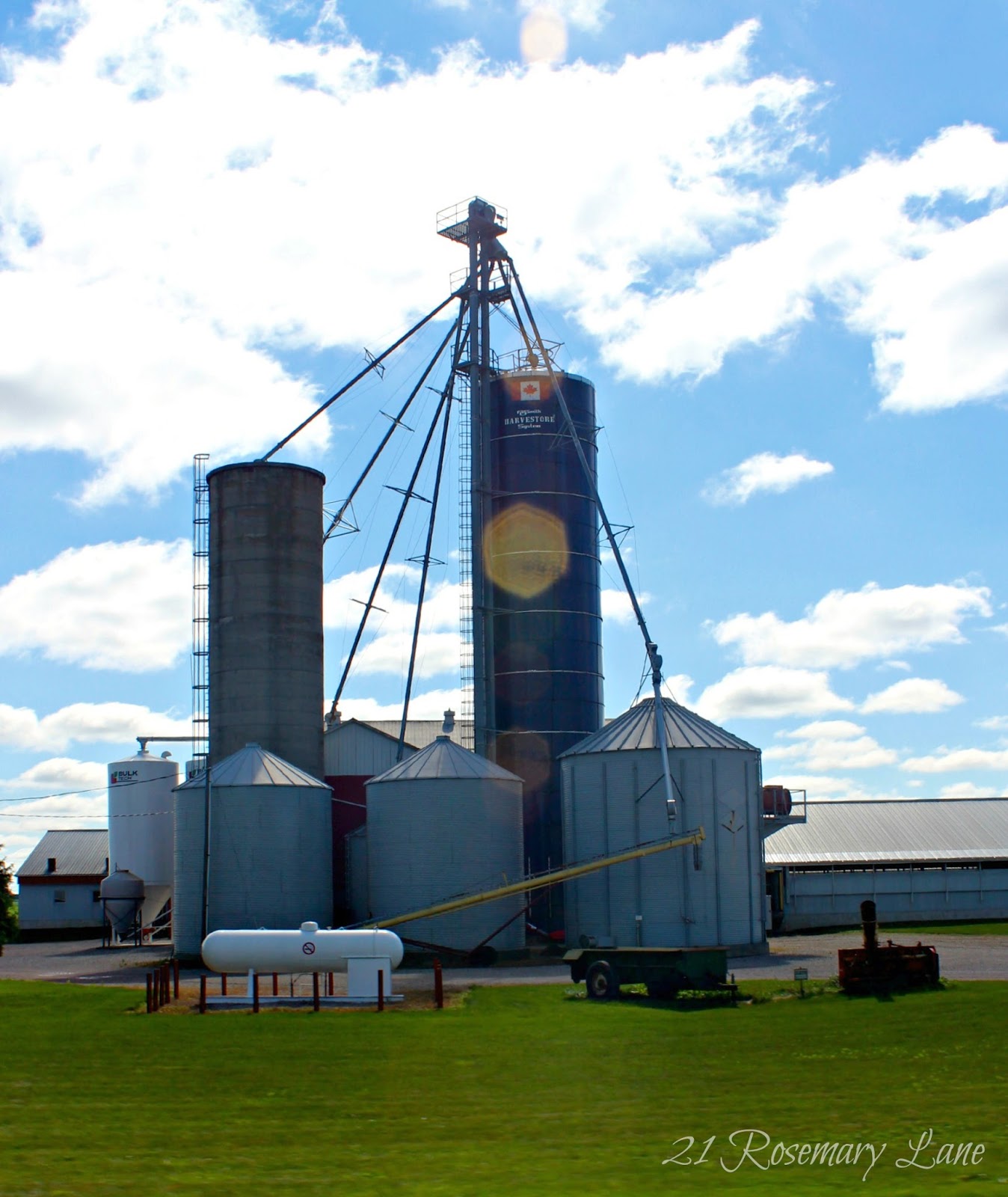 21 Rosemary Lane Images from the Side of the Road