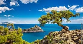 Richness Is A State Of Mind-A Poem