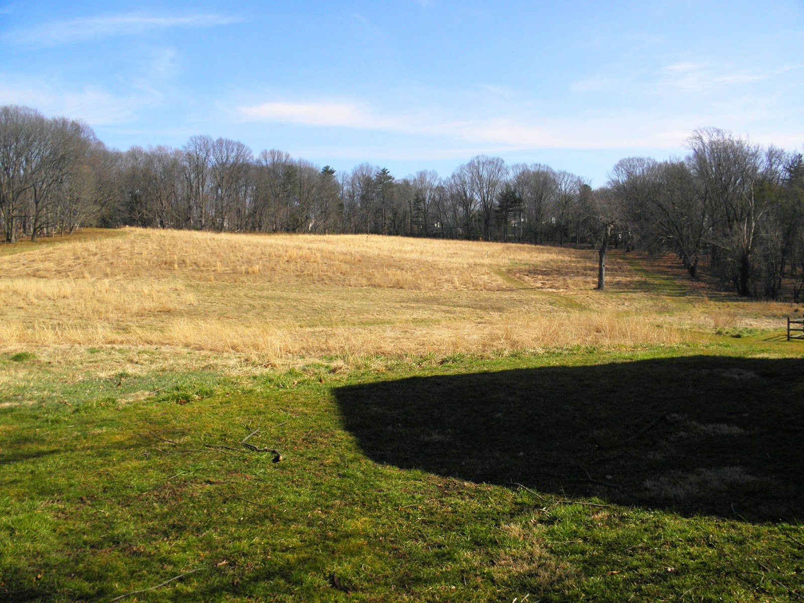 Good Things by David Visiting a Neighboring Farm