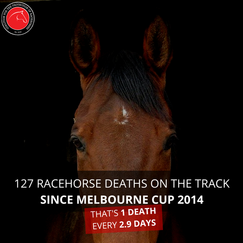 Drop Bear Growls Ban Animal Cruelty