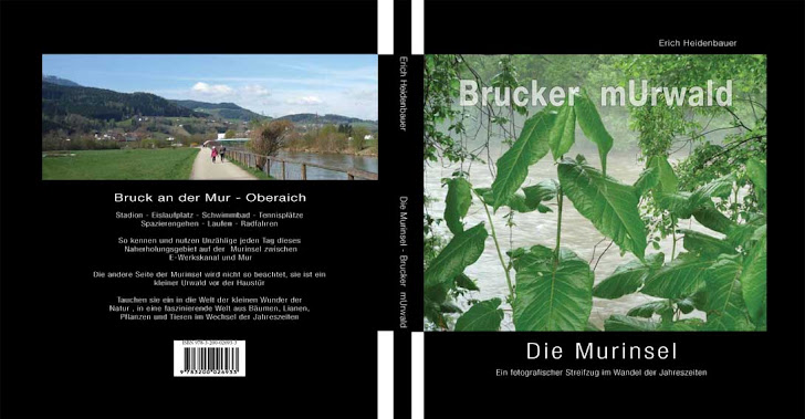 Brucker Urwald