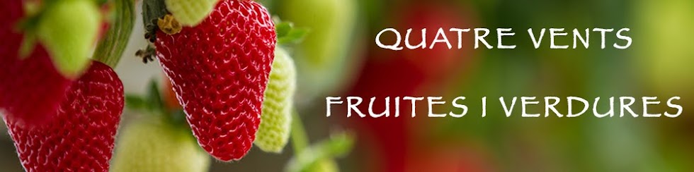 FRUITES I VERDURES QUATRE VENTS 