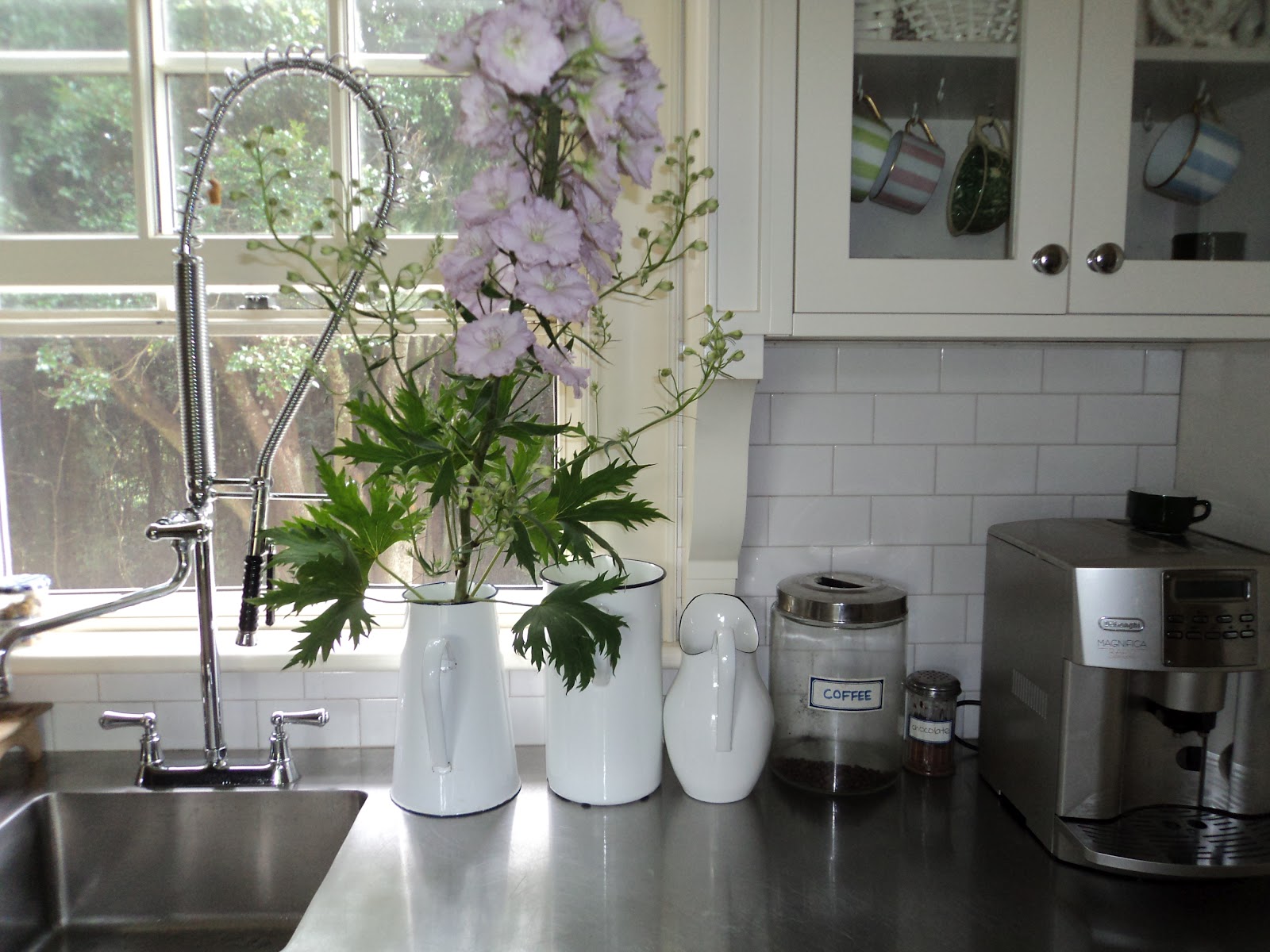 Bumble at Home: Sausalito