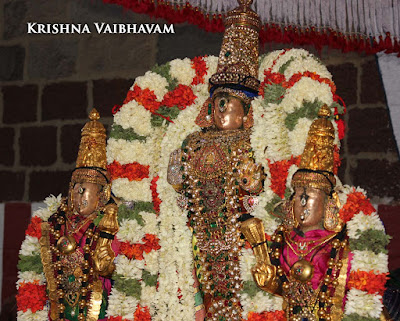 Narasimha Swamy, Yoga Narasimhar, Parthasarathy Temple, Triplicane, Thiruvallikeni, Brahmotsavam, 2015