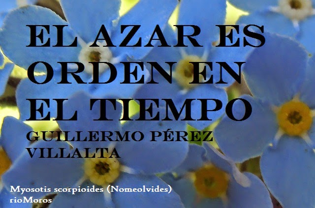 El%2bazar%2bes%2borden%2ben%2bel%2btiempo