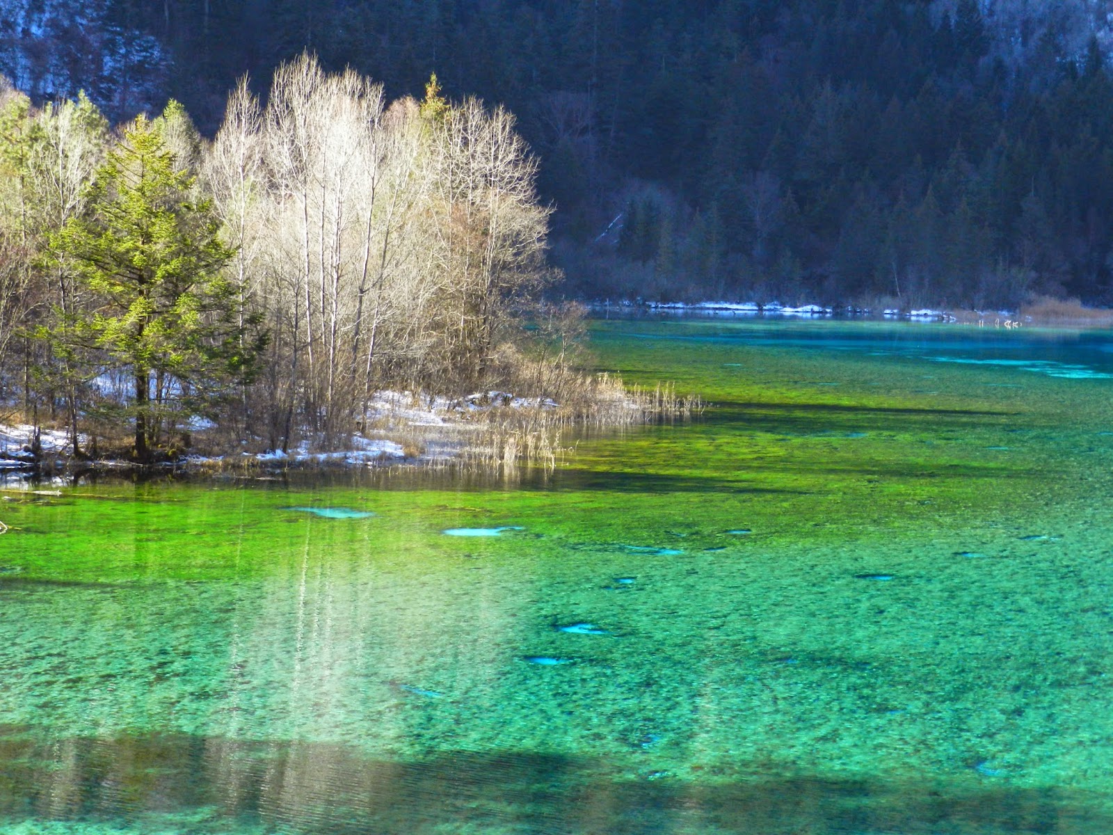 Nana Cat Travel China 四川九寨沟15 九寨沟 五花海