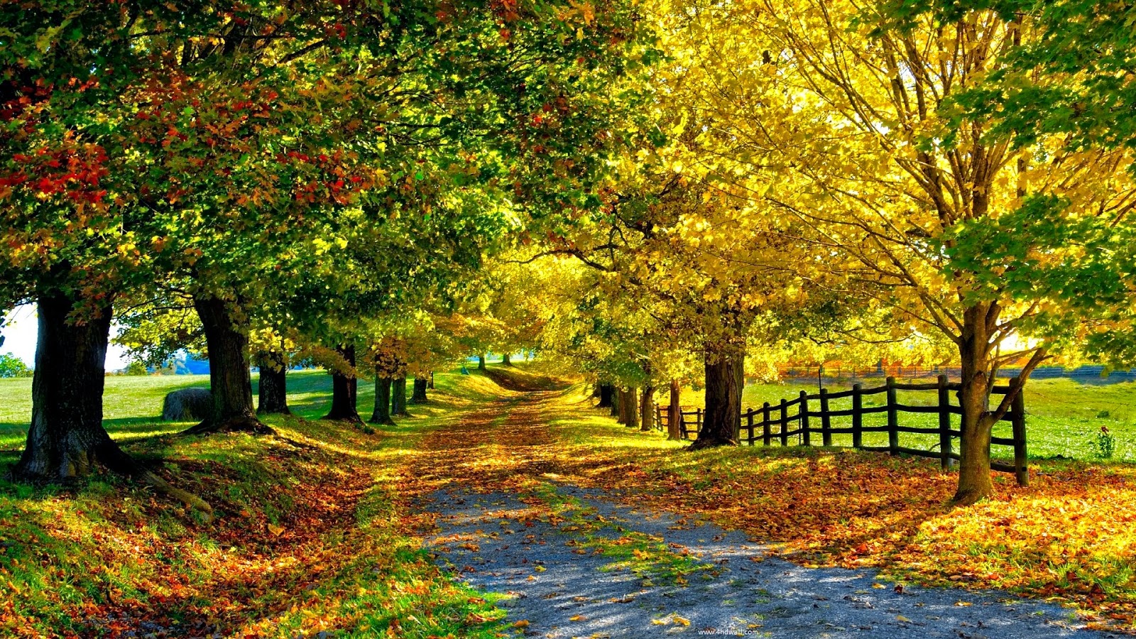 seasonal autumn