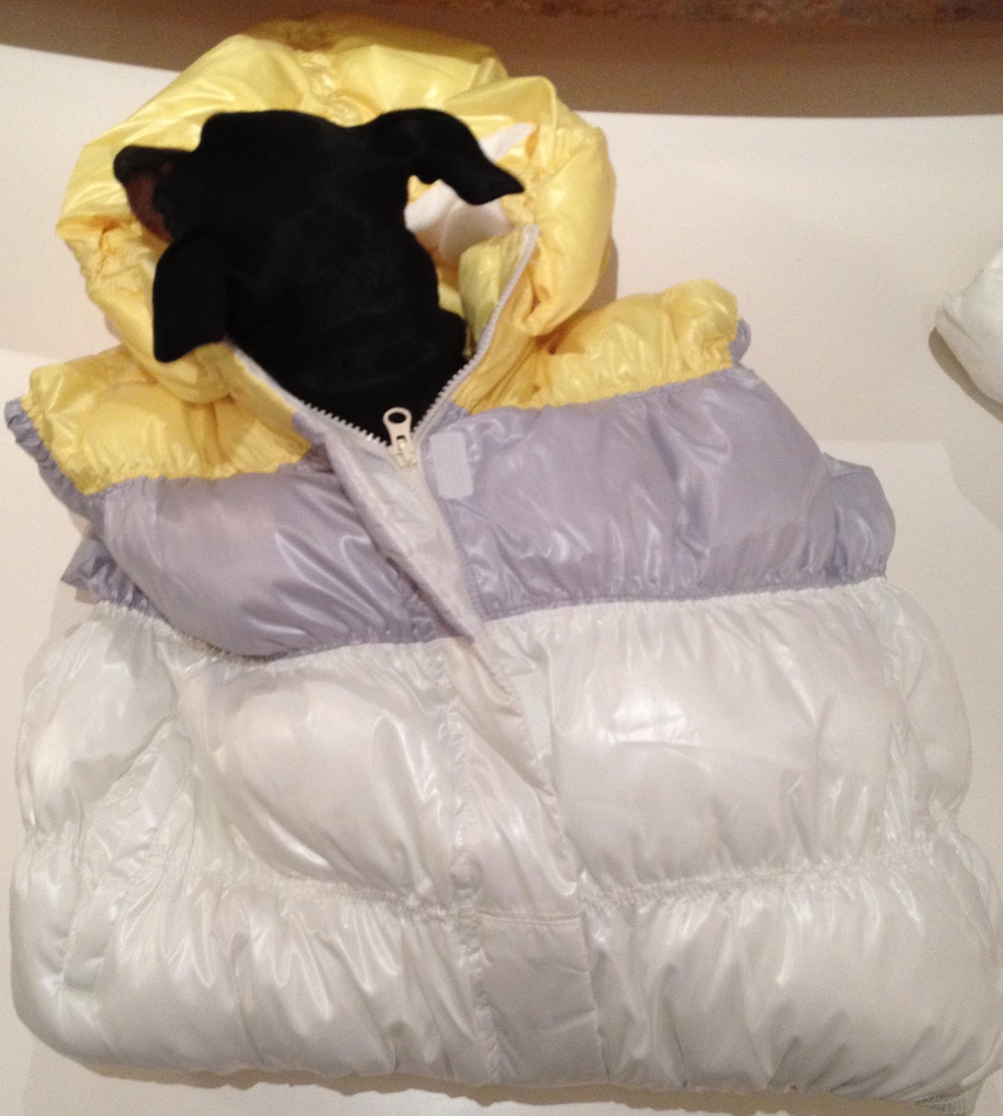 super dog charlie pants and me Charlie's Clues How to Make a Dog