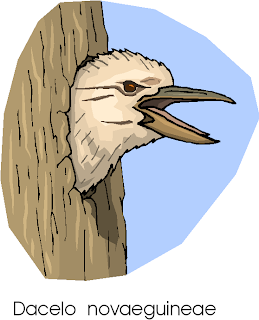Laughing Kookaburra | Dacelo Novaeguineae Free Clipart Laughing Kookaburra | Dacelo Novaeguineae Free Clipart