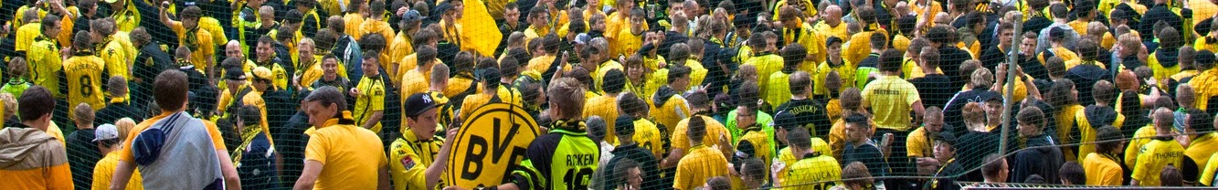 BVB Fotoğraf Albümü