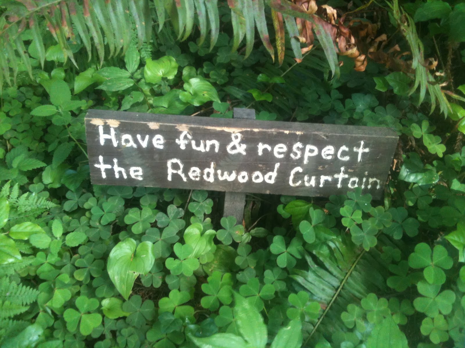 Music Landscape Architecture Disc Golf Screen Printing And