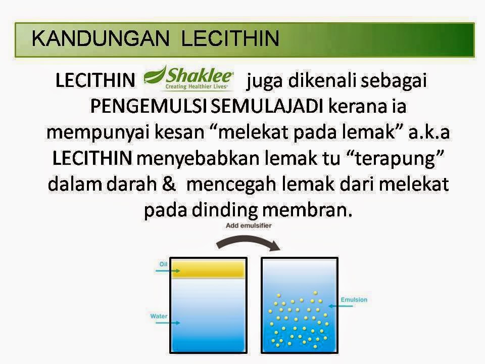 {Produk Shaklee} 13 Kebaikan Lecithin Pujaan Ramai