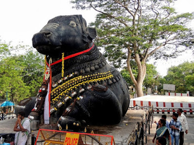 People offering prayers to Nandi Nandi in Chamundeshwari Temple in Mysore