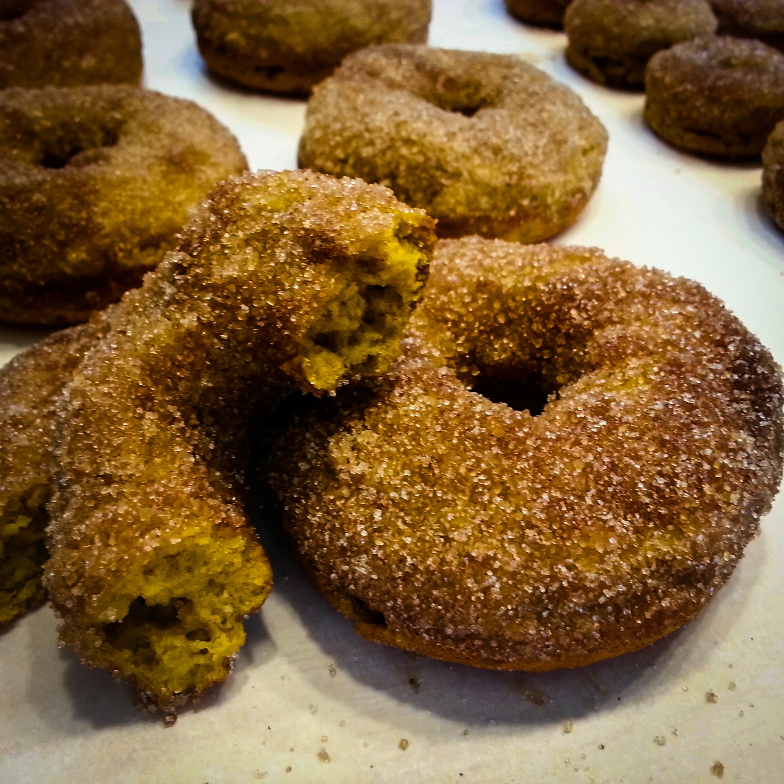Zegedines & Bellytimber Baked Pumpkin Buttermilk Doughnuts