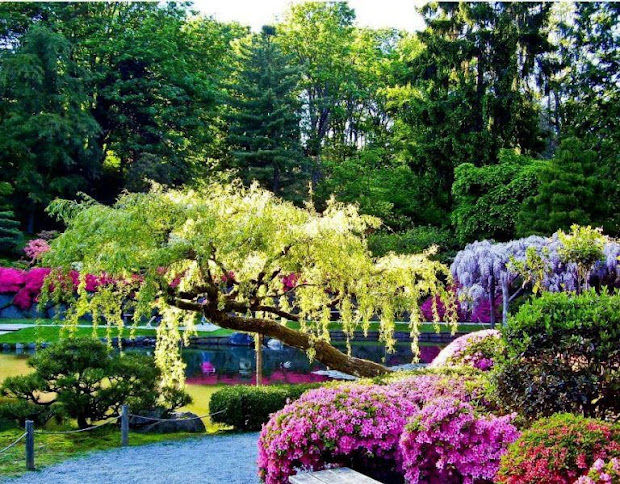 bread brain beautiful gardens