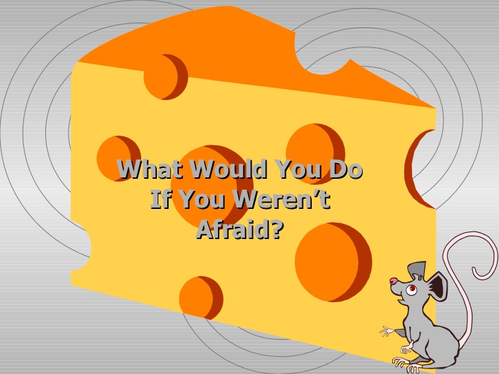 how moved my cheese essay how moved my cheese essay